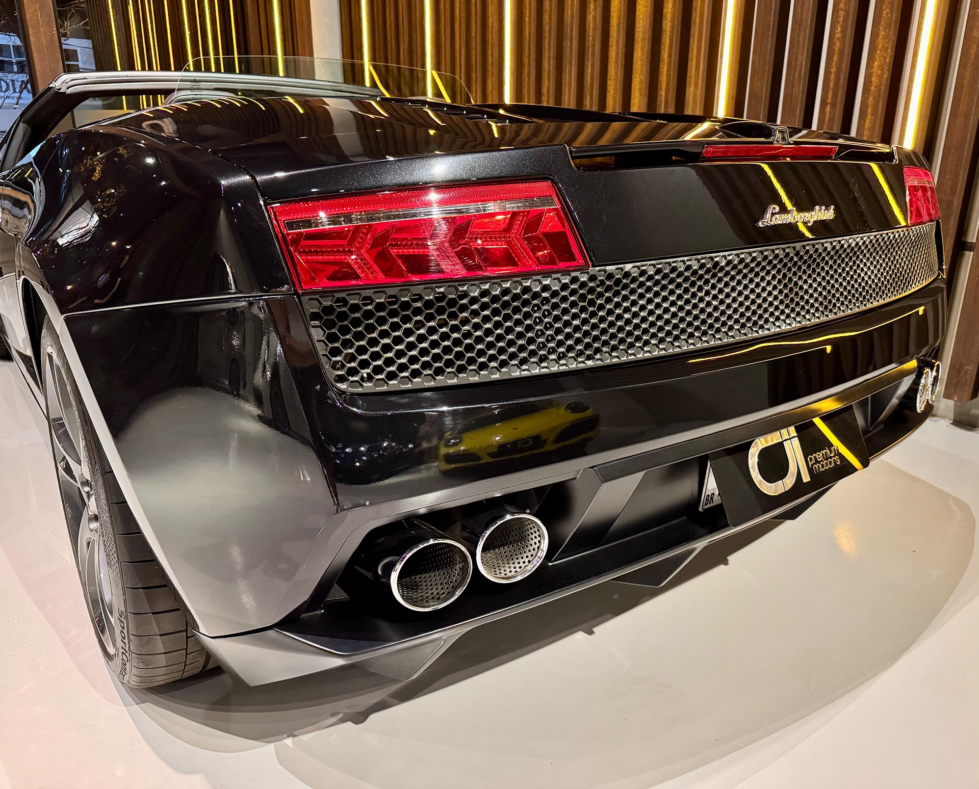 Descrição da imagem